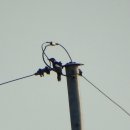 신기한농장 이미지