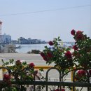 용암병설유치원 이미지