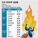 "순식간에 39% 뛰어" 저PBR株 환호…큰손 더 몰려온다? 이미지