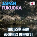 대가미공원1~3 | [일본] 후쿠오카 여행 / 후쿠오카성 마이즈루 공원 라이트업 벚꽃축제 방문 후기
