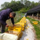 대벌농장 이미지