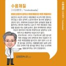 생명나무가꾸는사랑의한의원 네이버블로그