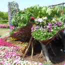 옛날옛적 이미지