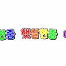 이 봄에 나는 늙었다.....💭 이미지