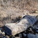 큰바위농장 이미지