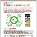 유황커피