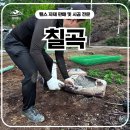 김천로 | 칠곡휀스 펜스 - “마당 안전 + 외부인 차단, 칠곡펜스 실전 후기”