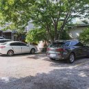 신촌식당 이미지