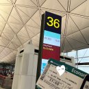 595 | 홍콩에서 호치민 왕복 vn595/594 베트남항공 이코노미 탑승후기