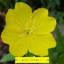 구월1동-17 이미지