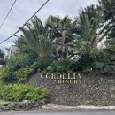 코델리아리조트 | 제주 성산읍 숙소 가성비 호텔 코델리아리조트 후기