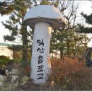 참농장 Daum카페