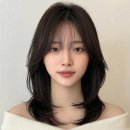 시티헤어 - 달서구 | 시티헤어