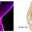 목동자생한방병원 이미지
