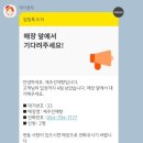 선채향 이미지