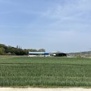 스테이명애