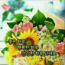 꼬망쎄 - 구리시 | 꼬망쎄