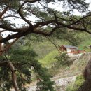 구례통나무펜션 이미지