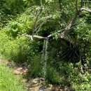 도실목장 이미지