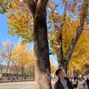 효자로-L 이미지