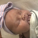 아들딸농장 이미지