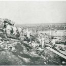 돈이농장 이미지