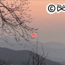 주리네