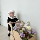(주)동우팜투테이블 | [돌잔치 준비] 청주 돌잔치 수트 드레스 한복 대여 ,피팅 ‘느루‘ 예약방법 , 내돈내산 후기