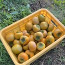 흥희농장 이미지