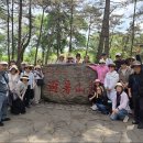 디자인 에세이