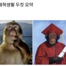 스튜디오힘내 네이버블로그