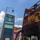 텐클락 | [2025 싱가포르] Day 2. 빅버스 투어 - 레드라인 (아랍 스트리트, 차이나타운), 야쿤카야토스트, 옐로우...