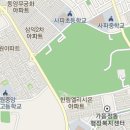 다미양 Daum카페