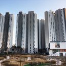 스칸디공인중개사사무소 이미지