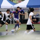 유성고등학교 이미지