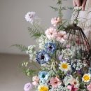 스튜디오_달루즈