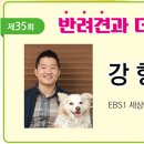 반려견과 더불어 사는 법 이미지