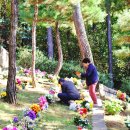 영구장묘