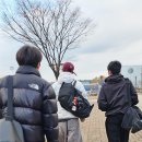 팀 드래곤 복싱 이미지