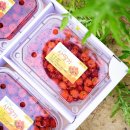 덕곡농장 이미지