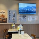 동탄역 교촌치킨 후기｜허니콤보 레드 조합에 치즈볼까지