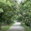 11260-2-1-14 | 대구 삼성라이온즈파크 원정응원석 1-2구역14열 좌석 시야/후기, 주차 꿀팁