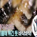 지중해민물장어