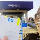 남원읍 사무소 북쪽 버스정류장 | [제주올레길 5코스] 여자 혼자 걷기! 시내에서 시작점까지 가는 방법. 동백꽃을 만날 수 있는 1월 올레길.