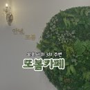 까페또봄