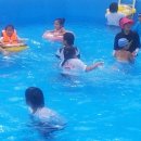 맑은물농원 네이버블로그
