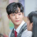 하루댕댕 이미지