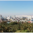 미성농장 이미지