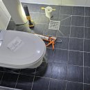 덕계로 | 친정집 욕실 쪽 습기 때문에 알아본 경기누수탐지, 덕계로종합설비 상담 후기