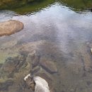 계곡힐링스카이 | 정선펜션 하늘나리펜션 구미정계곡펜션 정선단체펜션 다녀온 솔직 후기